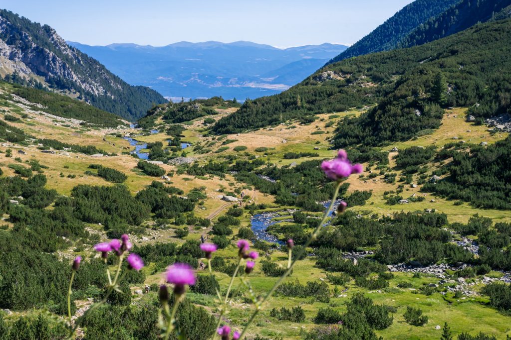 Valley and mountain slopes in Pirin National Park, Bulgaria