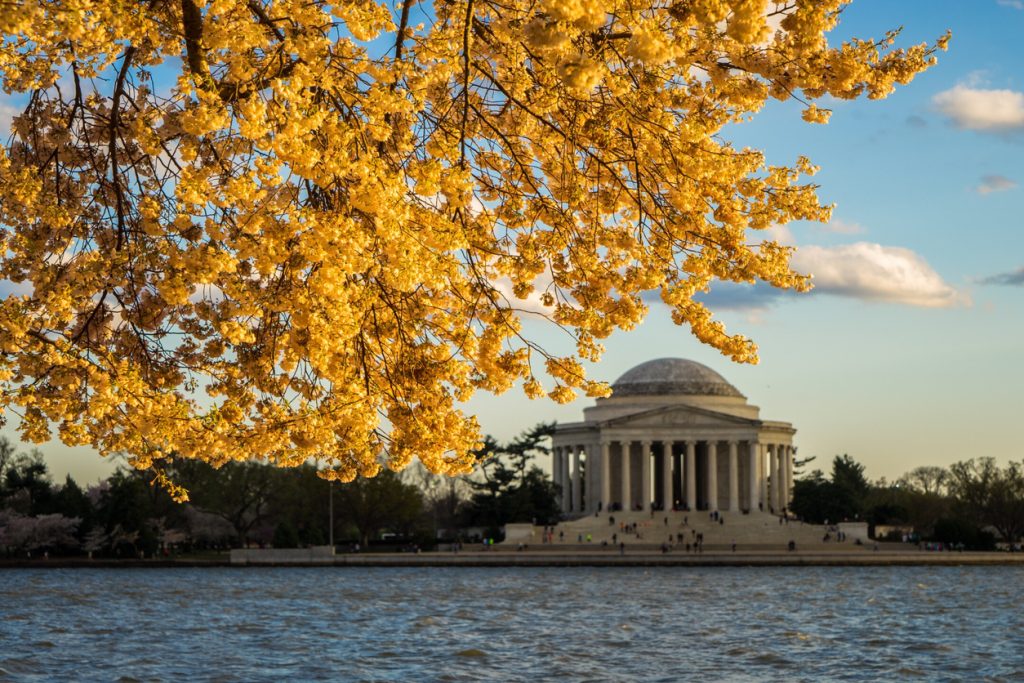 Jefferson Memorial