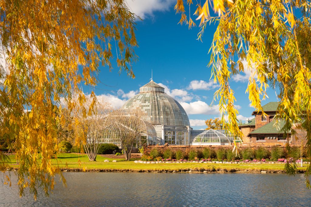Belle Isle, Dertroit