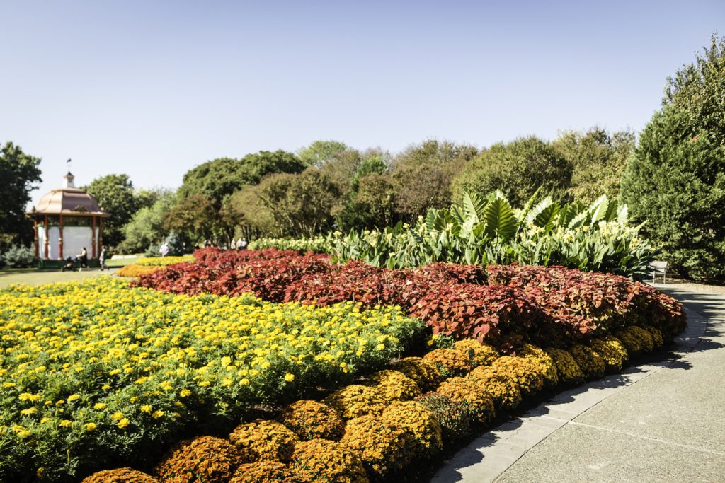 Dallas Arboretum and Botanical Garden in Dallas