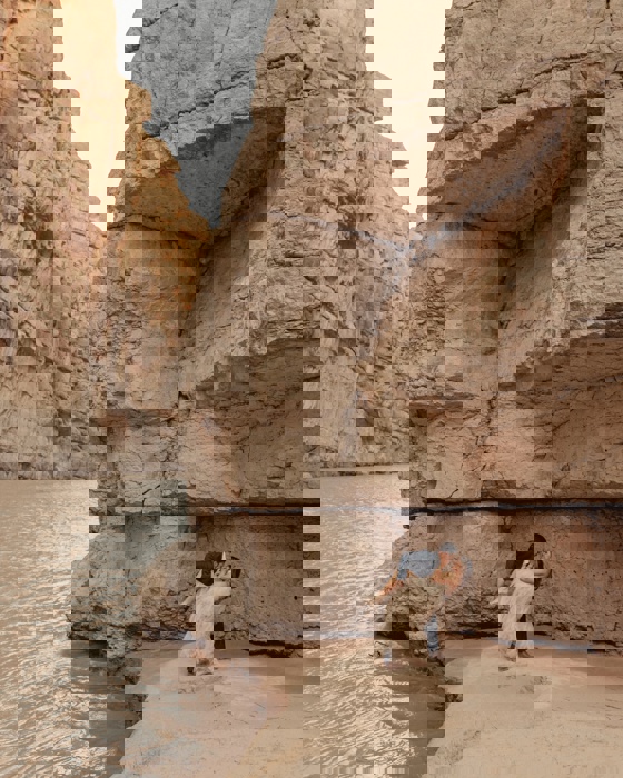 Best for Small Elopements vs. Larger Engagement Parties