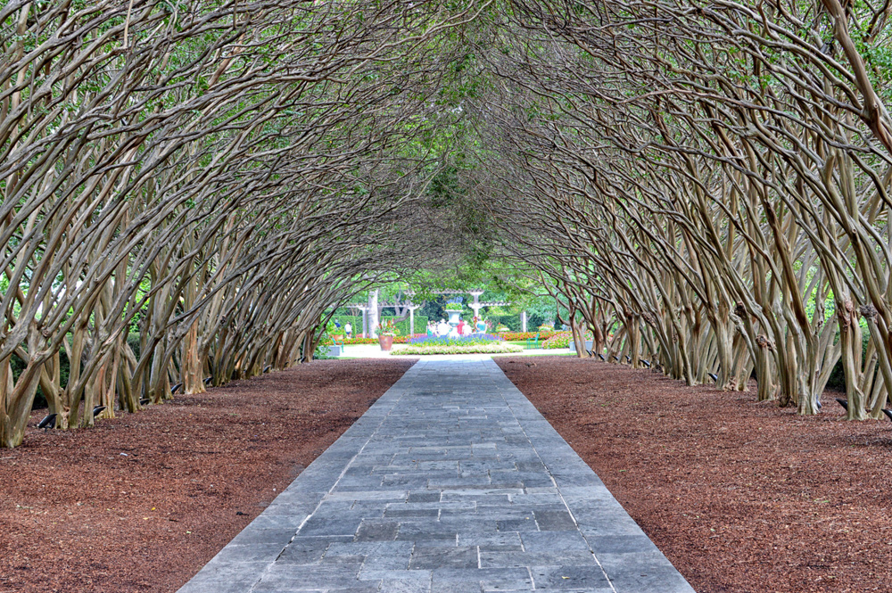 Walkway in Dallas Arboretum