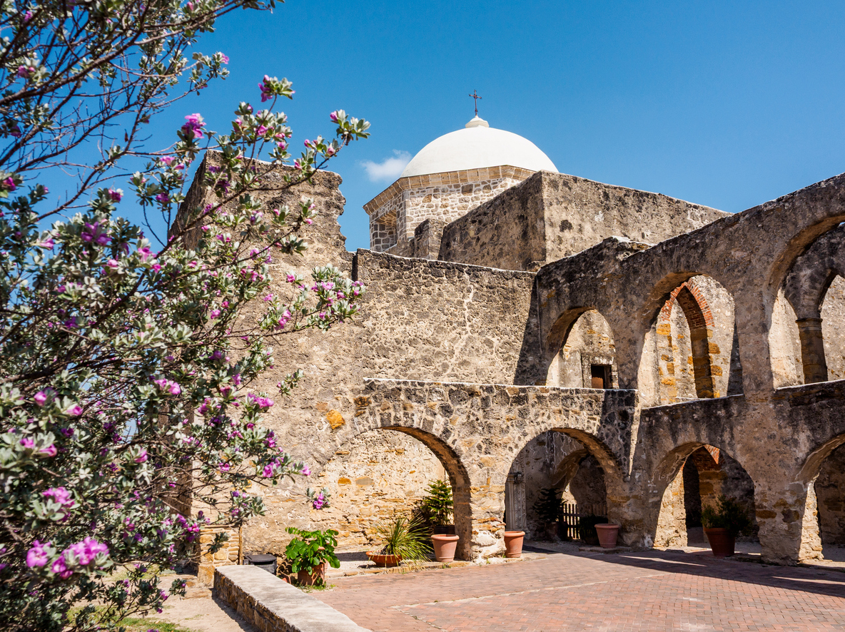 Blooming tree and the Historic Mission San Jose, San Antonio