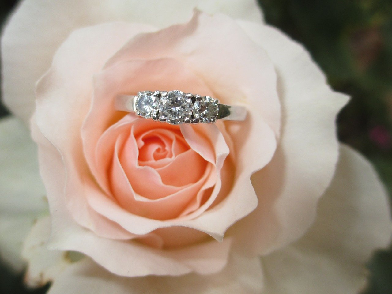 engagement ring in a flower