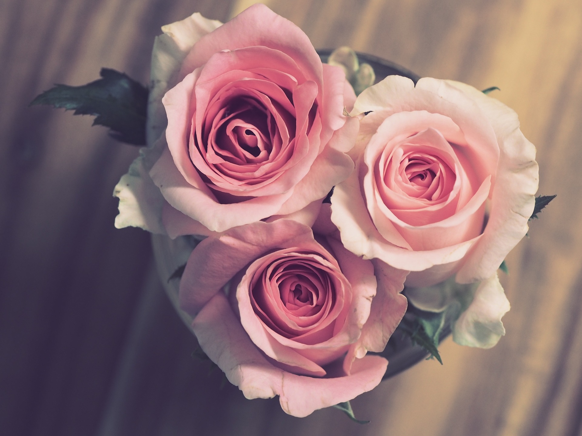 Roses-pink-flowers-bouquet
